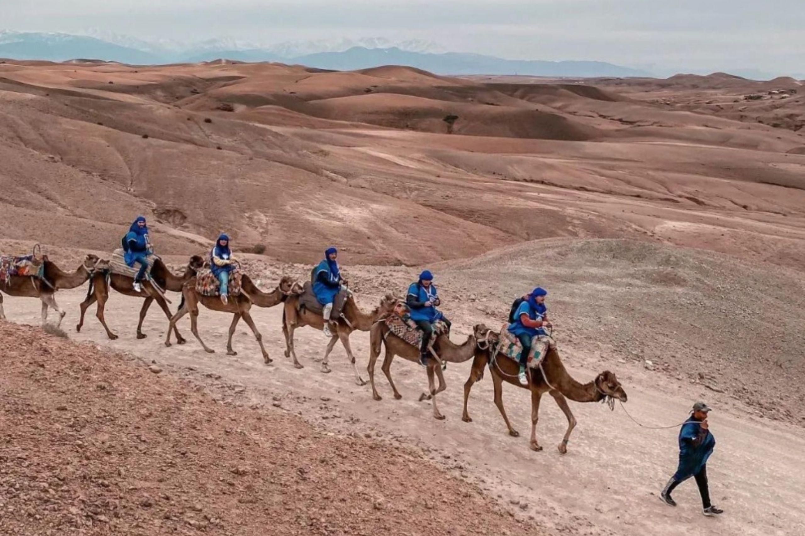 Marrakech désert