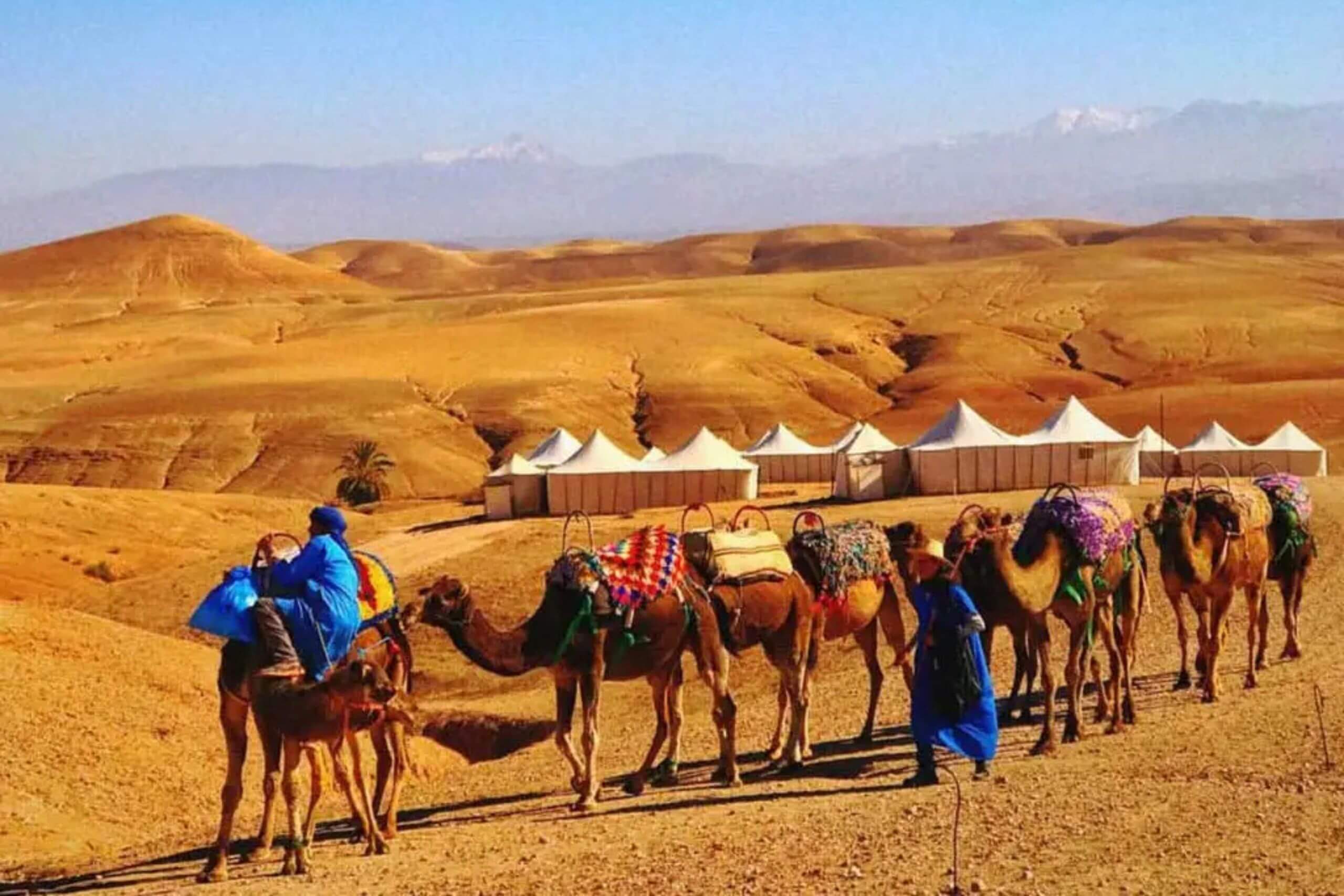 Selle traditionnelle sur un dromadaire prête pour une excursion dans le désert d’Agafay